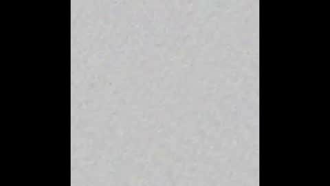 _maccaa_ online show from 12.01.25