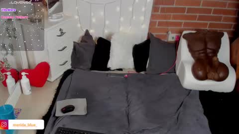 Snapshot of _merida_blue chatting on 02.18.25 Merida independet model online show from 02.18.25