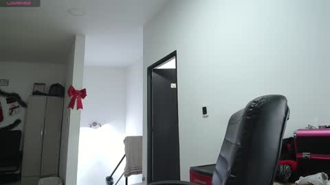 Snapshot of _mr_panda_ chatting on 12.25.24 Panda online show from 12.25.24