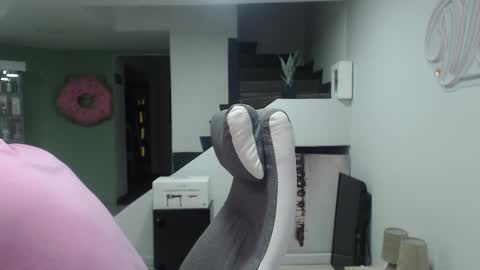 Snapshot of _mr_panda_ chatting on 01.23.25 Panda online show from 01.23.25