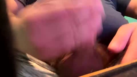 _peterson_ online show from 01.15.25