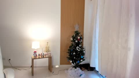 Sam   --- next stream 1 dic  food and vino show . online show from 12.28.24