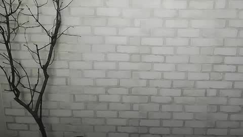 Snapshot of _snow_queen__ chatting on 12.14.24 Rachel online show from 12.14.24