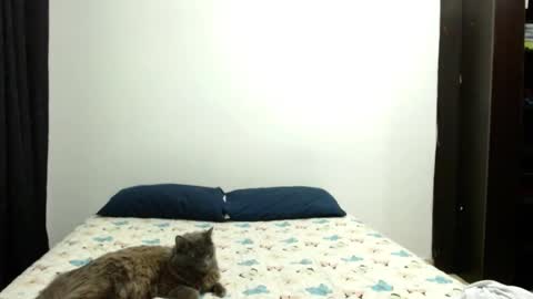 Snapshot of _sofiaparker_ chatting on 10.03.25 Sofia Parker online show from 10.03.25