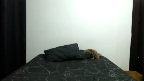 Snapshot of _sofiaparker_ chatting on 11.13.25 Sofia Parker online show from 11.13.25