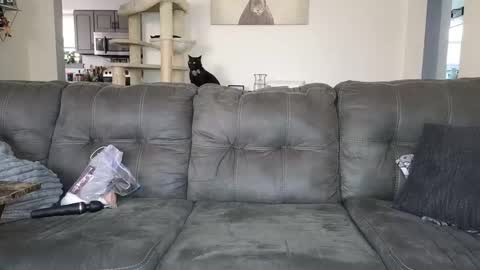 SophiaGraceKnight online show from 11.12.25