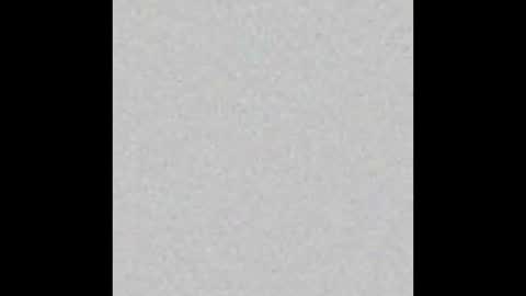 Snapshot of _sweet_kitty1 chatting on 11.16.25 online show from 11.16.25