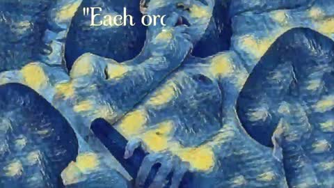 Evi online show from 12.24.24