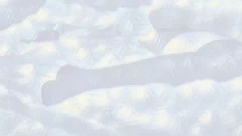 Evi online show from 01.14.25