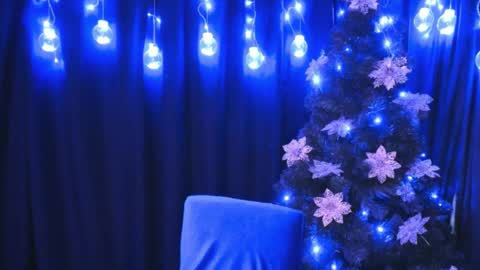    online show from 12.31.24