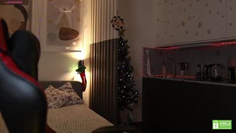 Snapshot of _whoareu_ chatting on 12.22.24 Kristina online show from 12.22.24