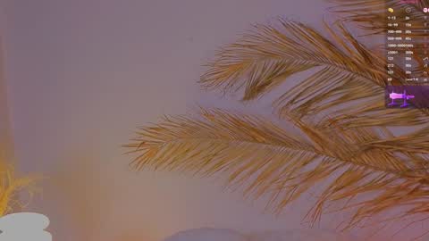 Snapshot of a1ly chatting on 12.15.24 Ally online show from 12.15.24