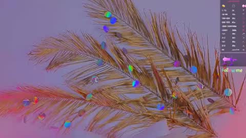 Snapshot of a1ly chatting on 03.06.25 Ally online show from 03.06.25