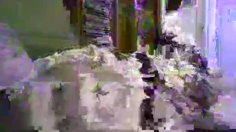 Snapshot of a203530 chatting on 01.08.26 a203530 online show from 01.08.26