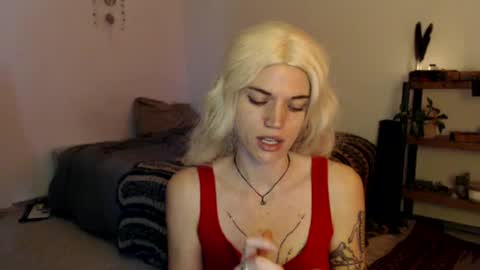 Snapshot of aaalllyyyo chatting on 12.27.24 ally online show from 12.27.24