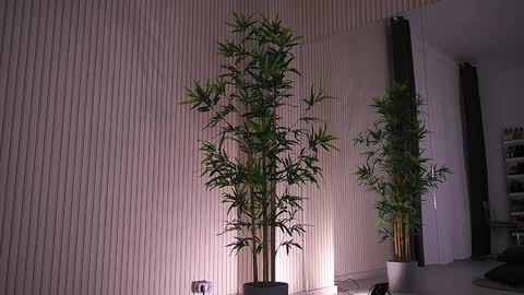 Snapshot of abbela_white chatting on 01.23.25 Alexa online show from 01.23.25