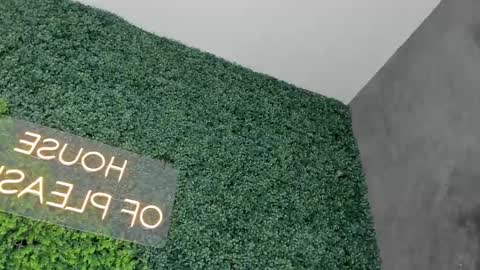 A B B Y online show from 02.26.25