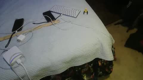 aCACiAs2022 online show from 03.16.26