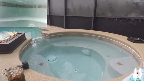 Adam And Eve online show from 12.22.24