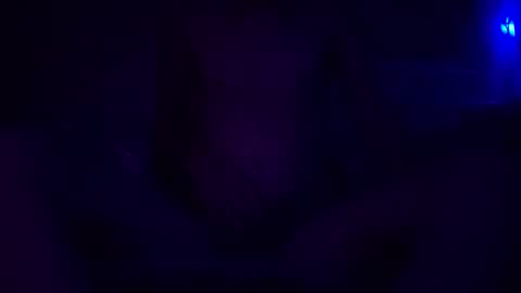 adamllamas online show from 12.30.24