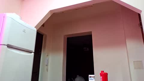 Adonis online show from 10.22.25