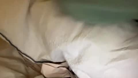 adriiiii online show from 01.24.25