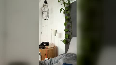 advbike online show from 03.13.26