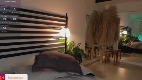 Snapshot of afrodita__25 chatting on 12.24.24 Emma online show from 12.24.24