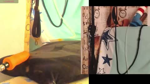 Snapshot of afroditacute16 chatting on 02.27.26 afroditacute16 online show from 02.27.26