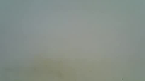 afronubians online show from 03.06.25