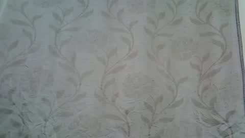 pink  and josphen online show from 01.23.25