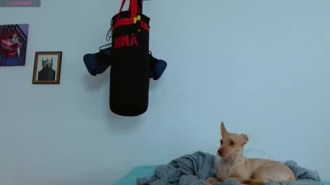 Agness online show from 10.20.25