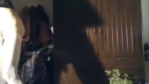 agua online show from 11.22.25