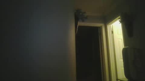 Mr. Wonderful online show from 09.11.25