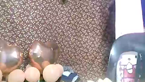 rosie online show from 02.03.25