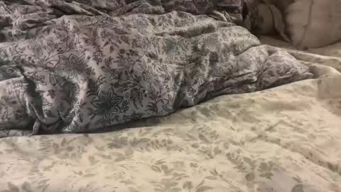 aj86cam online show from 01.10.26