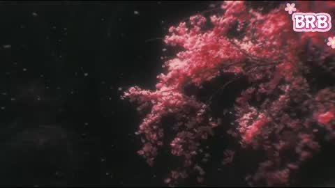 Snapshot of akiame_ chatting on 04.12.26 Liza online show from 04.12.26