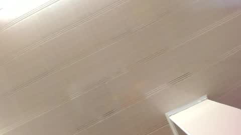 Maeve  online show from 12.28.24