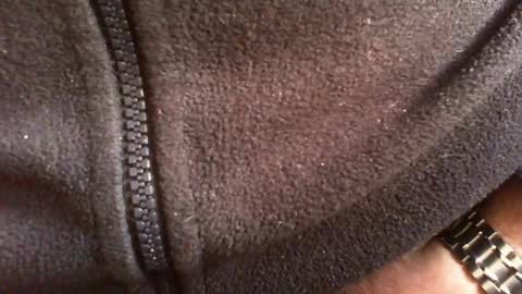 Snapshot of albert29 chatting on 02.14.26 albert29 online show from 02.14.26