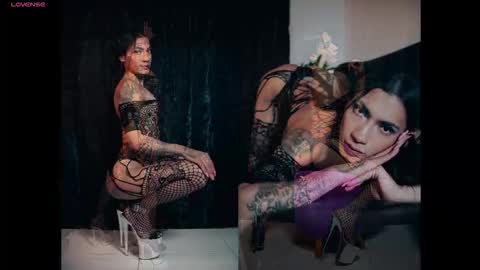 Ale online show from 10.04.25