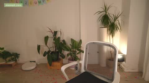 Ale online show from 03.31.26