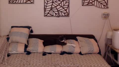 Snapshot of alessandra_foxy chatting on 02.25.25 Sandra online show from 02.25.25