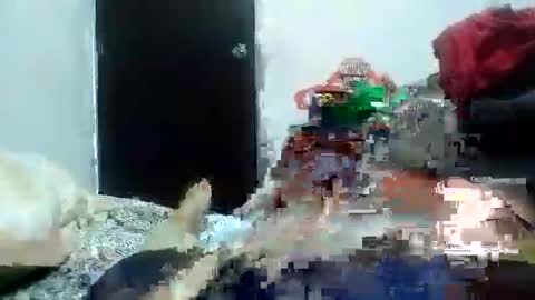 Alexamdergal online show from 01.11.25