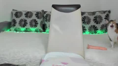 Alexa online show from 01.11.25