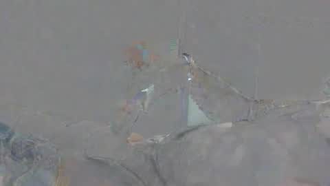 Alexsmith9876 online show from 04.02.26