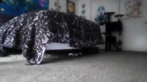 Alex Vines online show from 03.14.26