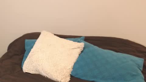 Alice online show from 09.11.25