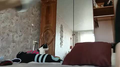 bigclit daddy squirt bigdildo fit online show from 02.24.25