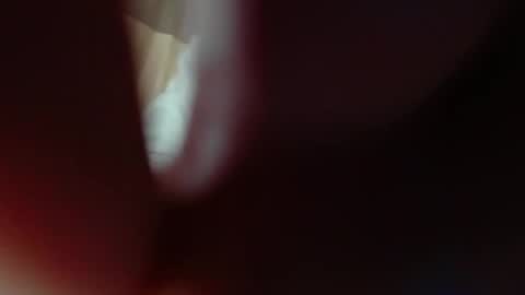 bigclit daddy squirt bigdildo fit online show from 11.08.25