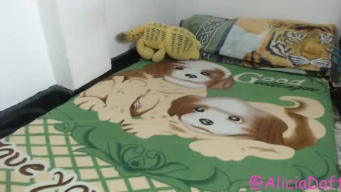 Alicia Aldara online show from 04.09.26